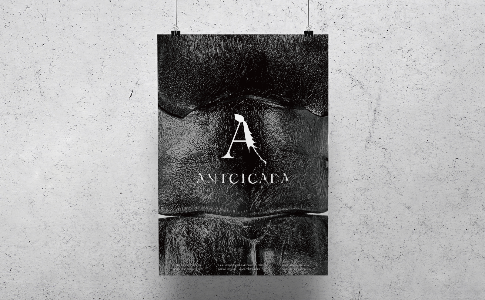 ANTCICADA__-2