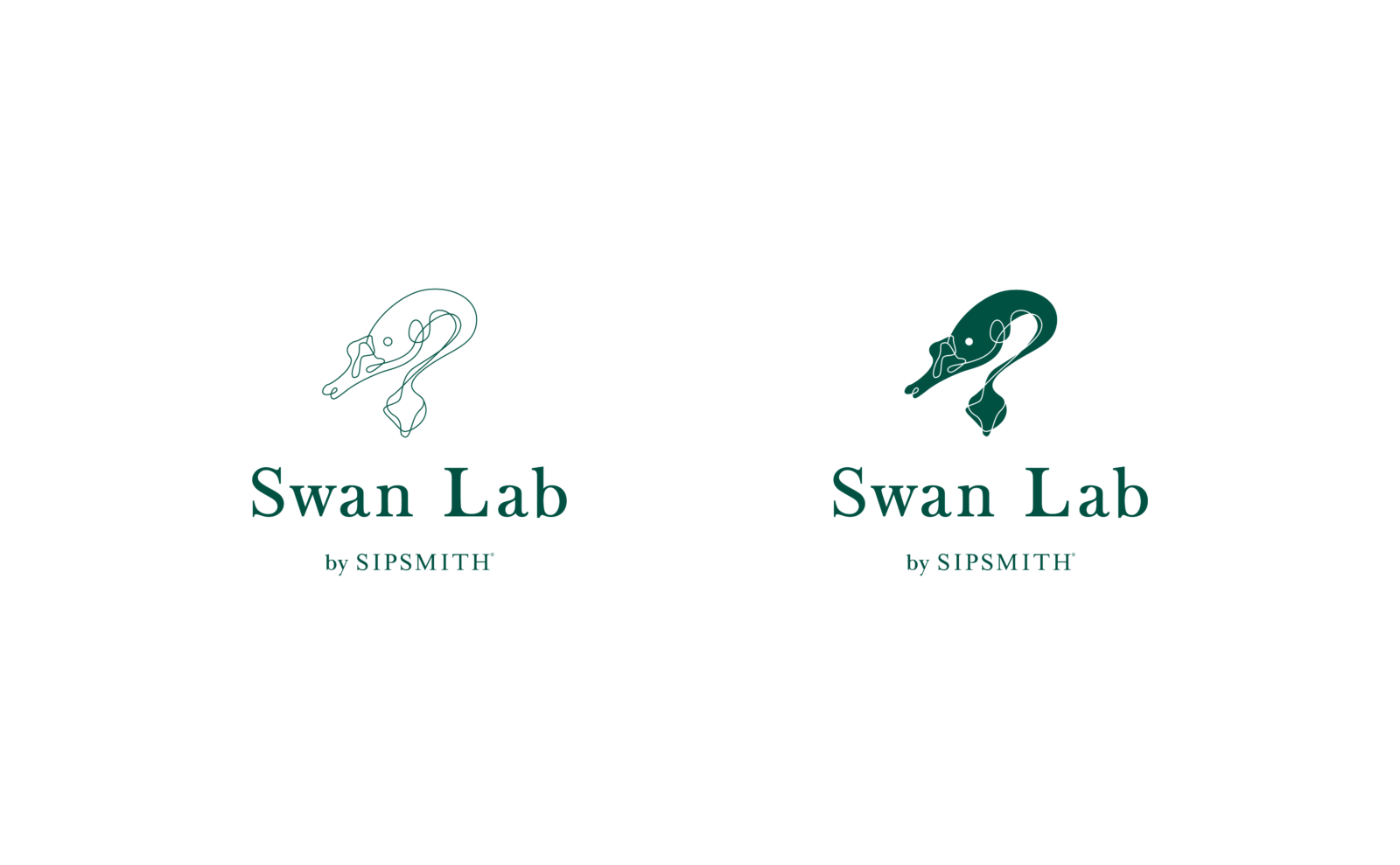 SWAN LAB__-2