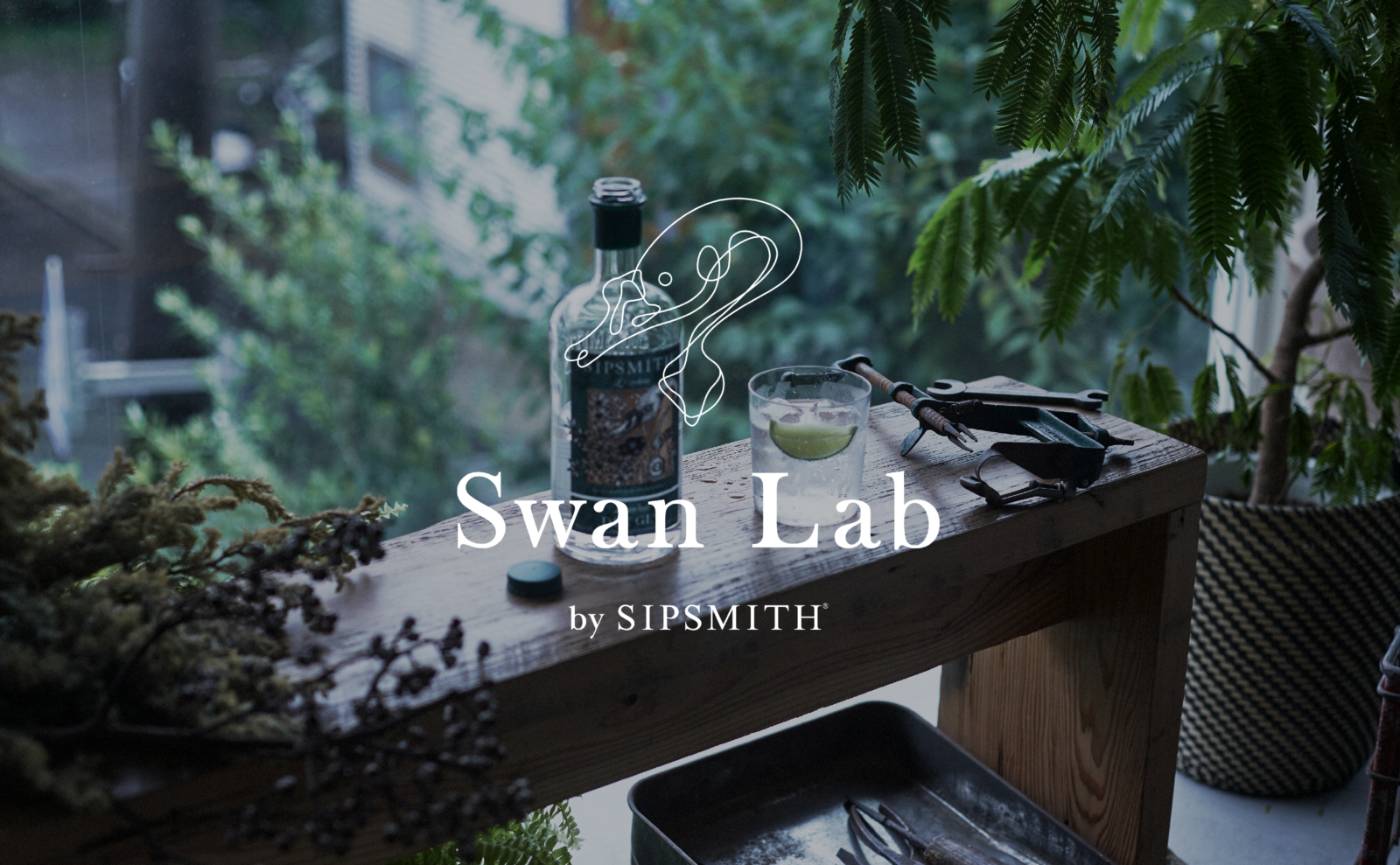 SWAN LAB__-5