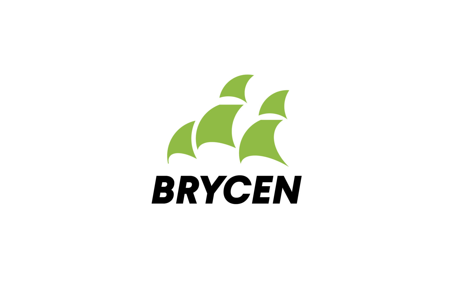 BRYCEN_v2__-2